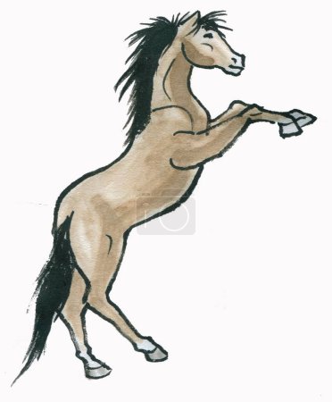 Téléchargez les photos : Illustration aquarelle dessinée à la main d'un cheval - en image libre de droit