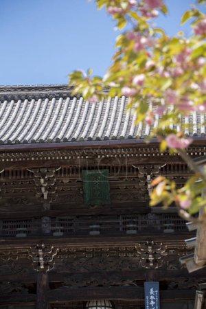Foto de Hasedera templo, El famoso templo en la ciudad de Kamakura, Japón - Imagen libre de derechos
