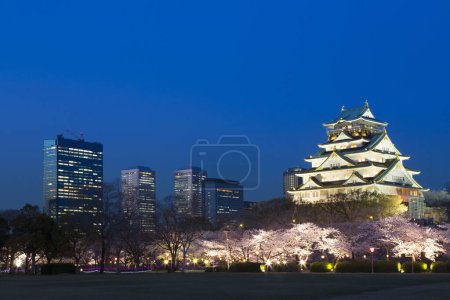 Photo for Beautiful Osaka castle with cherry blossom ,Osaka,Japan - Royalty Free Image