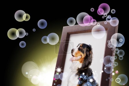 Foto de Retrato de perro mascota familiar en un marco fúnebre - Imagen libre de derechos