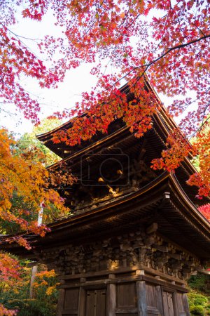 Photo for Picturesque view of a stunning ancient Japanese shrine - Royalty Free Image