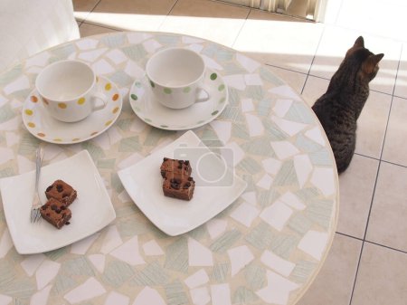 Téléchargez les photos : Chat sur le sol et des tasses à café vides sur la table - en image libre de droit