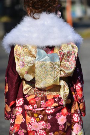 Téléchargez les photos : Portrait d'une jeune femme japonaise portant un kimono et un col en fourrure - en image libre de droit