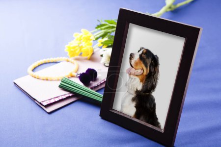 Family pet dog portrait in a funeral frame