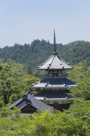 Photo for Impressive scenery around an ancient Japanese shrine - Royalty Free Image