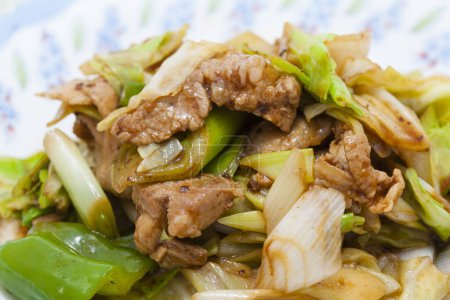 Photo for Stir fried pork with vegetables and sauce - Royalty Free Image