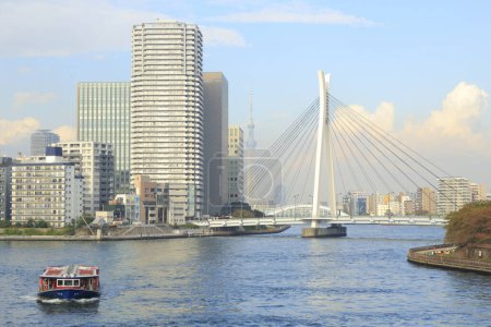 Foto de Río Sumida y puente. Tokio, Japón. - Imagen libre de derechos