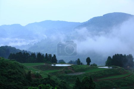 Téléchargez les photos : Le paysage des terrasses de montagne et de riz dans le brouillard du matin - en image libre de droit