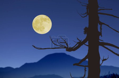Téléchargez les photos : Silhouette d'un arbre mort dans la nuit avec une lune - en image libre de droit