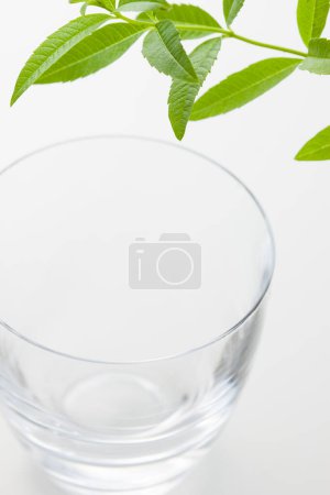 Foto de Un vaso de agua con hojas verdes en el fondo, de cerca - Imagen libre de derechos