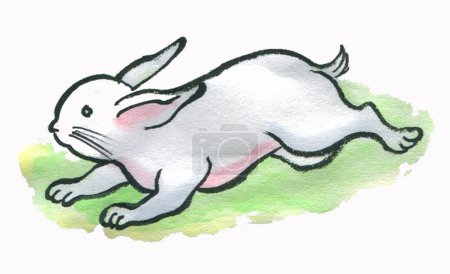 Foto de Lindo conejo acuarela aislado sobre fondo blanco - Imagen libre de derechos