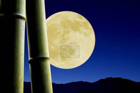 Foto de Luna y bambú en el cielo nocturno - Imagen libre de derechos