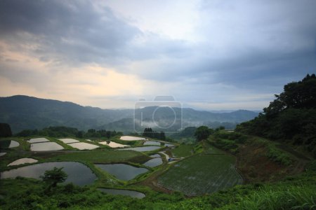 Téléchargez les photos : Le paysage des terrasses de montagne et de riz dans le brouillard du matin - en image libre de droit