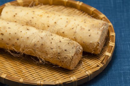 Photo for Chinese yam food on  background, close up - Royalty Free Image