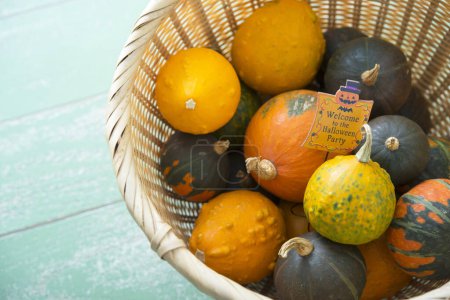 Téléchargez les photos : Composition d'automne avec des citrouilles pour Halloween - en image libre de droit