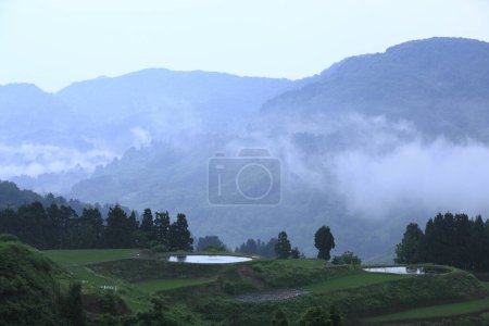 Foto de El paisaje de las terrazas de montaña y arroz en la niebla de la mañana - Imagen libre de derechos