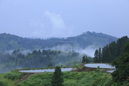 Foto de El paisaje de las terrazas de montaña y arroz en la niebla de la mañana - Imagen libre de derechos