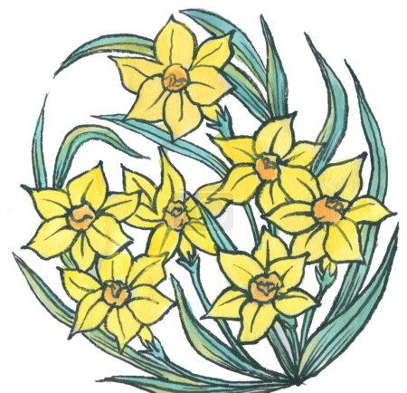 Téléchargez les photos : Fleurs aquarelle dessinées à la main isolées sur fond blanc - en image libre de droit