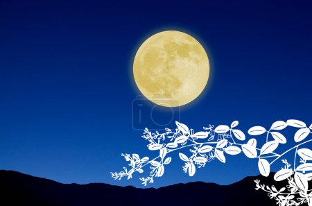 Téléchargez les photos : Pleine lune dans le ciel nocturne, montagnes sombres et branches aux feuilles - en image libre de droit