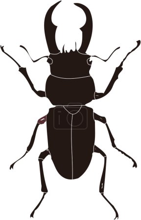 Téléchargez les photos : Modèle de logo insecte, illustration en noir et blanc - en image libre de droit