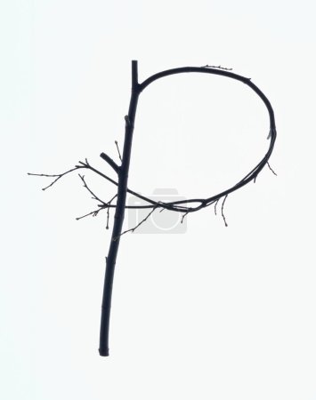 Photo for Letter p made of leafless branches isolated on white background - Royalty Free Image
