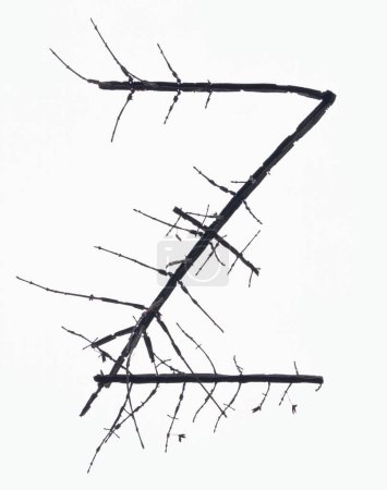 Téléchargez les photos : Lettre z faite de branches sans feuilles isolées sur fond blanc - en image libre de droit