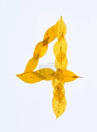 Téléchargez les photos : Numéro 4 composé de feuilles automnales isolées sur fond blanc - en image libre de droit