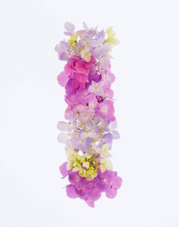 Téléchargez les photos : Lettre I faite de fleurs printanières colorées isolées sur fond blanc - en image libre de droit