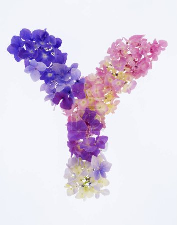 Téléchargez les photos : Lettre y faite de fleurs printanières colorées isolées sur fond blanc - en image libre de droit