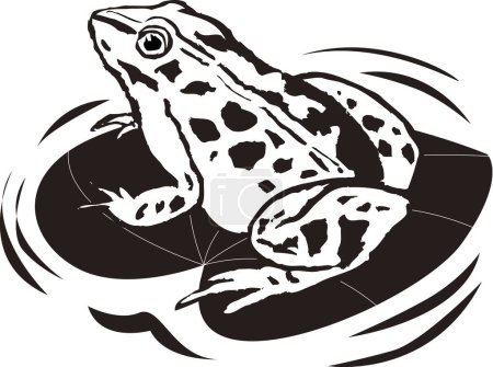 Photo for Frog logo template, black and white illustration - Royalty Free Image