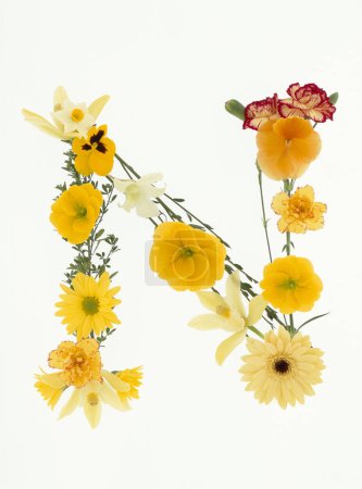 Téléchargez les photos : Lettre n faite de fleurs printanières colorées isolées sur fond blanc - en image libre de droit