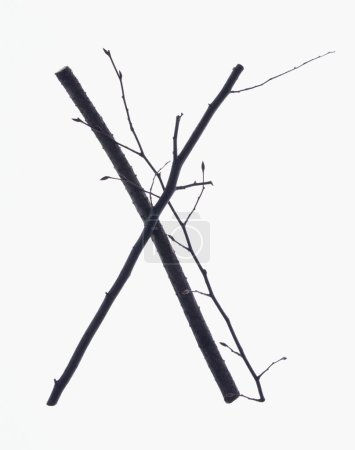 Téléchargez les photos : Lettre x faite de branches sans feuilles isolées sur fond blanc - en image libre de droit