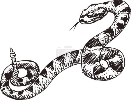 plantilla de logotipo de serpiente, ilustración en blanco y negro