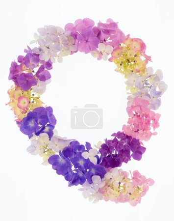 Téléchargez les photos : Lettre q faite de fleurs printanières colorées isolées sur fond blanc - en image libre de droit
