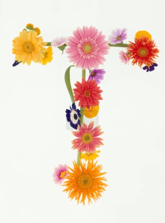 Téléchargez les photos : Lettre t faite de fleurs printanières colorées isolées sur fond blanc - en image libre de droit