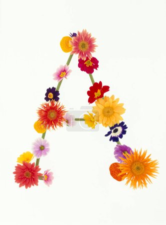 Photo for Letter a made of colorful spring flowers isolated on white background - Royalty Free Image