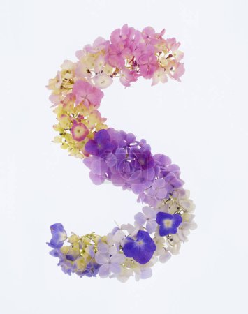 Foto de Letra s hecha de flores de primavera de colores aislados sobre fondo blanco - Imagen libre de derechos
