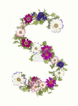 Photo for Letter s made of colorful spring flowers isolated on white background - Royalty Free Image
