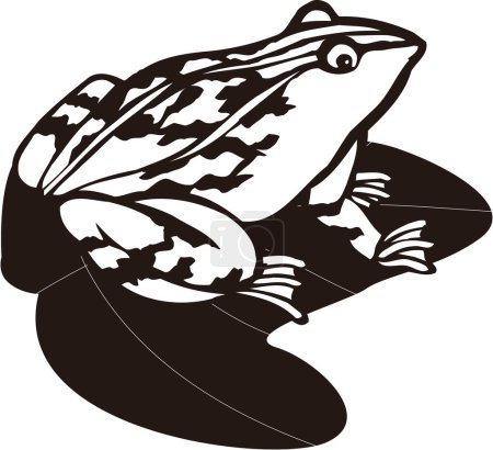 Frog logo template, black and white illustration