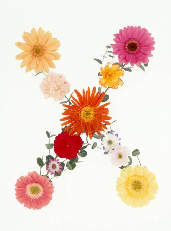 Téléchargez les photos : Lettre x faite de fleurs printanières colorées isolées sur fond blanc - en image libre de droit