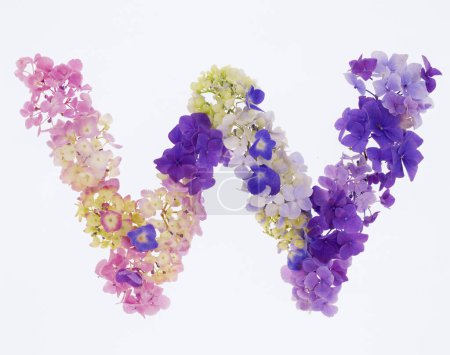 Téléchargez les photos : Lettre w faite de fleurs printanières colorées isolées sur fond blanc - en image libre de droit