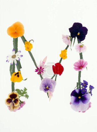 Téléchargez les photos : Lettre m faite de fleurs printanières colorées isolées sur fond blanc - en image libre de droit