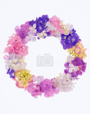 Téléchargez les photos : Lettre o faite de fleurs printanières colorées isolées sur fond blanc - en image libre de droit
