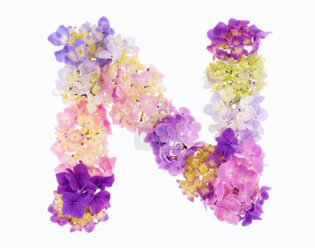 Photo for Letter n made of colorful spring flowers isolated on white background - Royalty Free Image