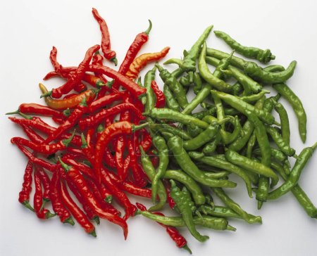 Photo for Red and green chilli peppers on white background - Royalty Free Image