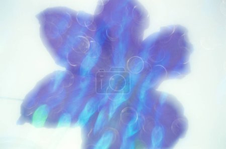 Téléchargez les photos : Abstrait fond flou d'une fleur avec de la glace - en image libre de droit