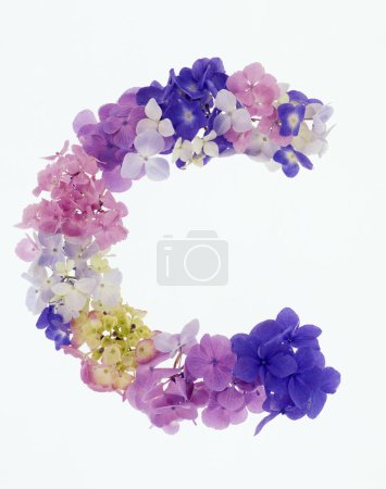 Foto de Letra c hecha de flores de primavera de colores aislados sobre fondo blanco - Imagen libre de derechos