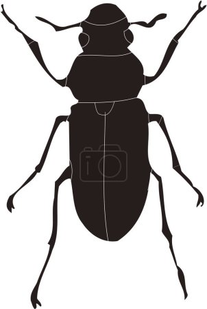 Téléchargez les photos : Modèle de logo insecte, illustration en noir et blanc - en image libre de droit