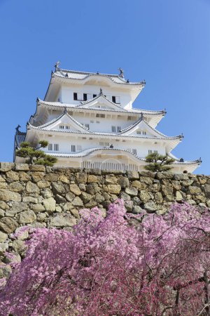 Téléchargez les photos : Osaka, Japon au château d'Osaka pendant la saison printanière - en image libre de droit