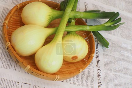 Téléchargez les photos : Gros plan de bulbes d'oignon bio frais dans un bol en bambou sur fond de journal - en image libre de droit